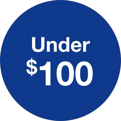 Gifts Under $100